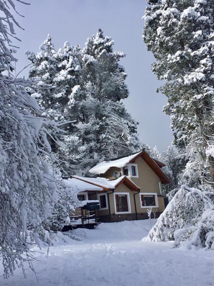 La cabaña entre pinos completamente nevados