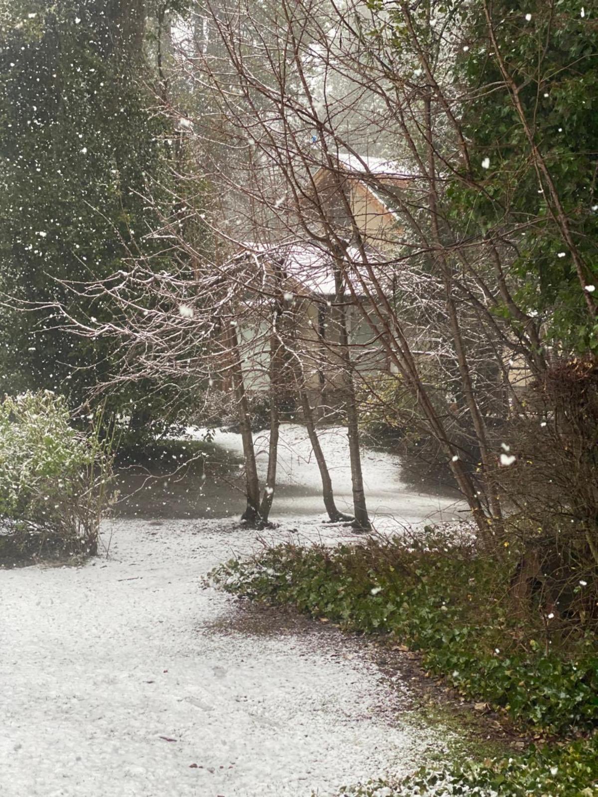 El camino de entrada nevado