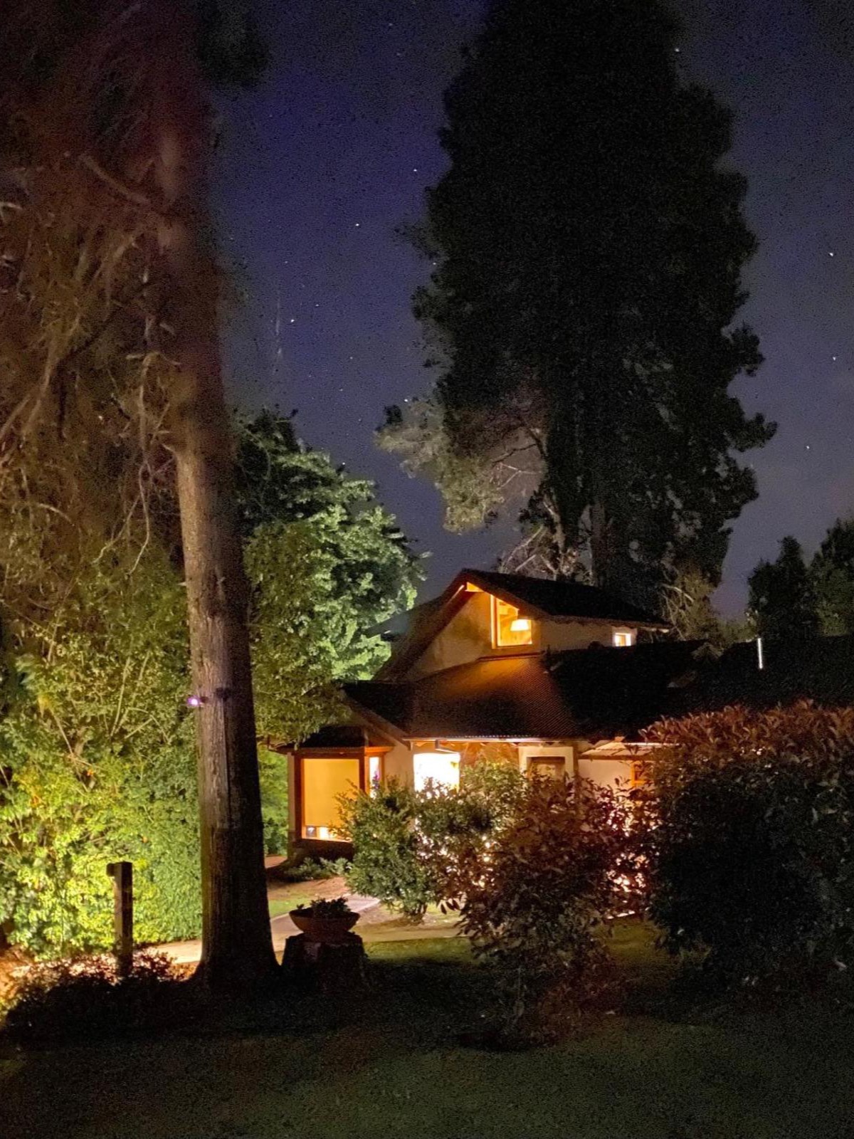 Una cabaña iluminada de noche