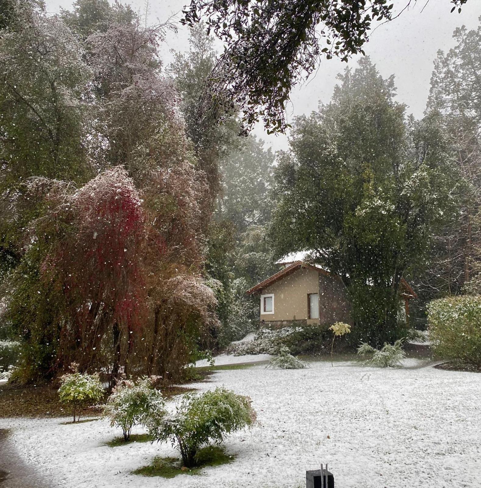 Una cabaña del predio mientras nieva, junto al árbol rojo del jardín