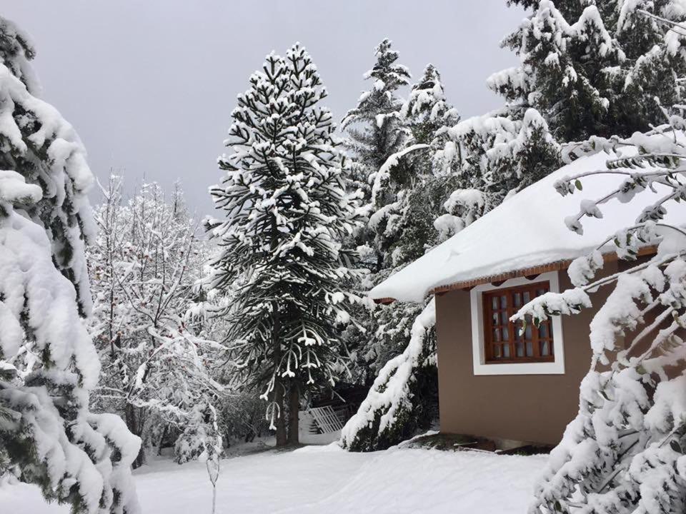 Una cabaña con el techo cargado de nieve
