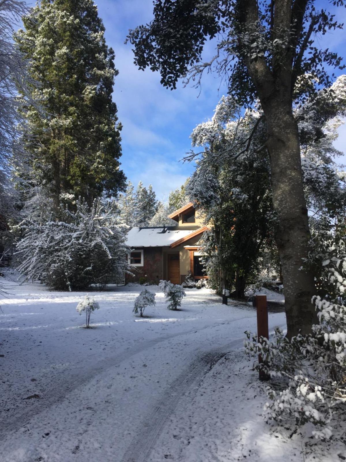 Cabaña nevada entre los árboles