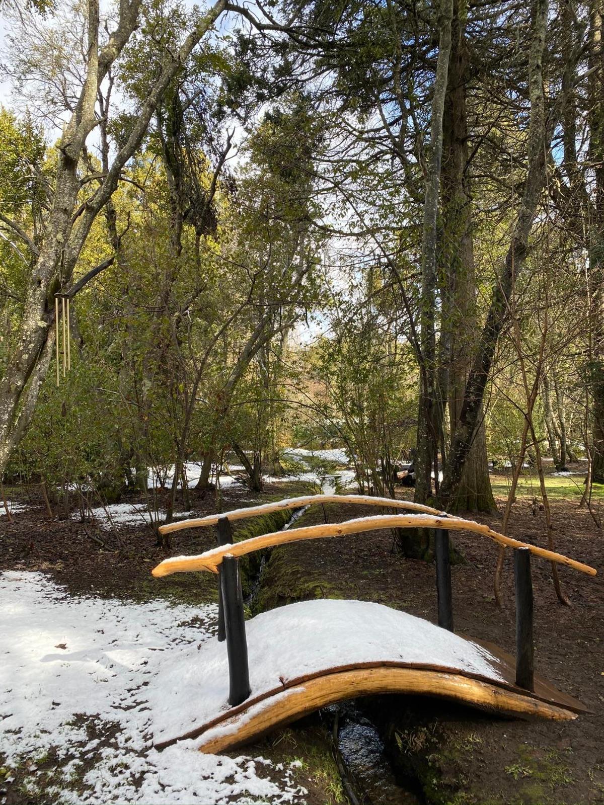 Puente de madera del predio cubierto de nieve