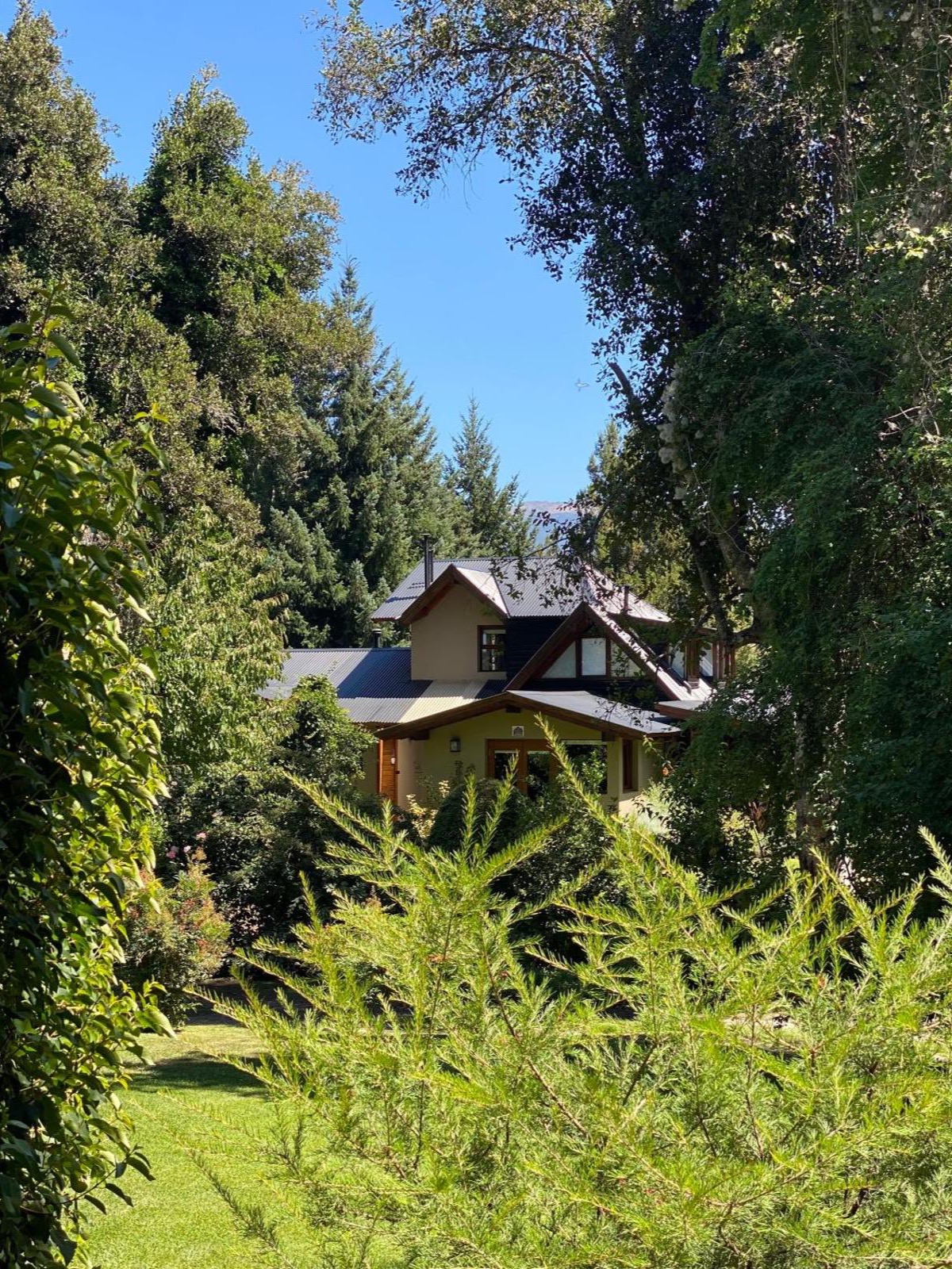 Entrada de una de las cabañas entre la vegetación