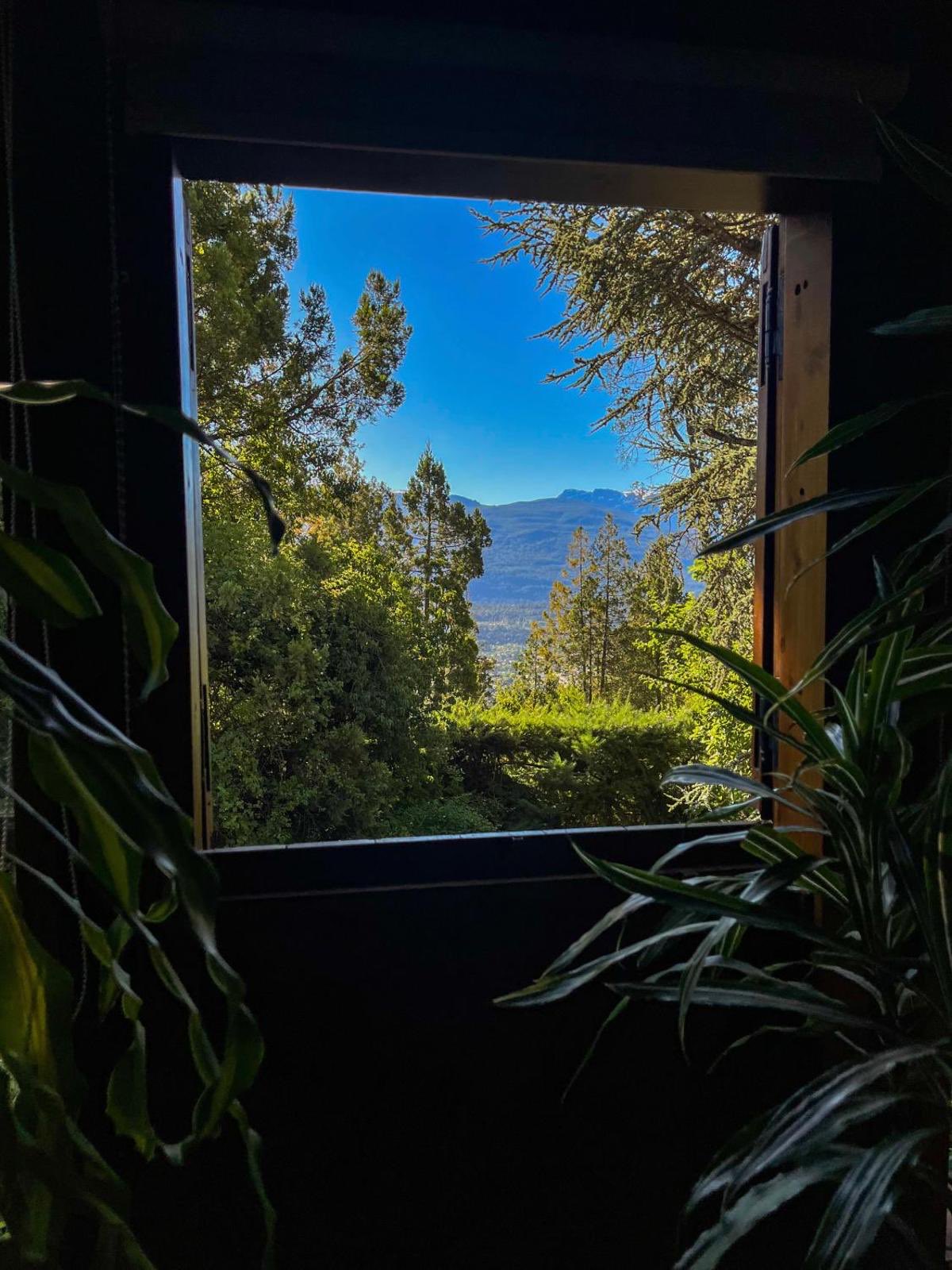 El jardín visto desde adentro de una cabaña
