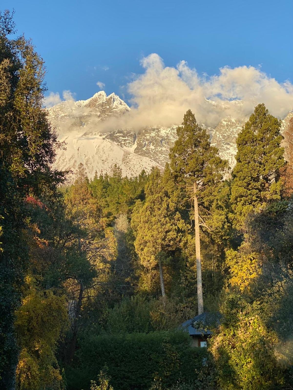 La montaña sobre el bosque nativo