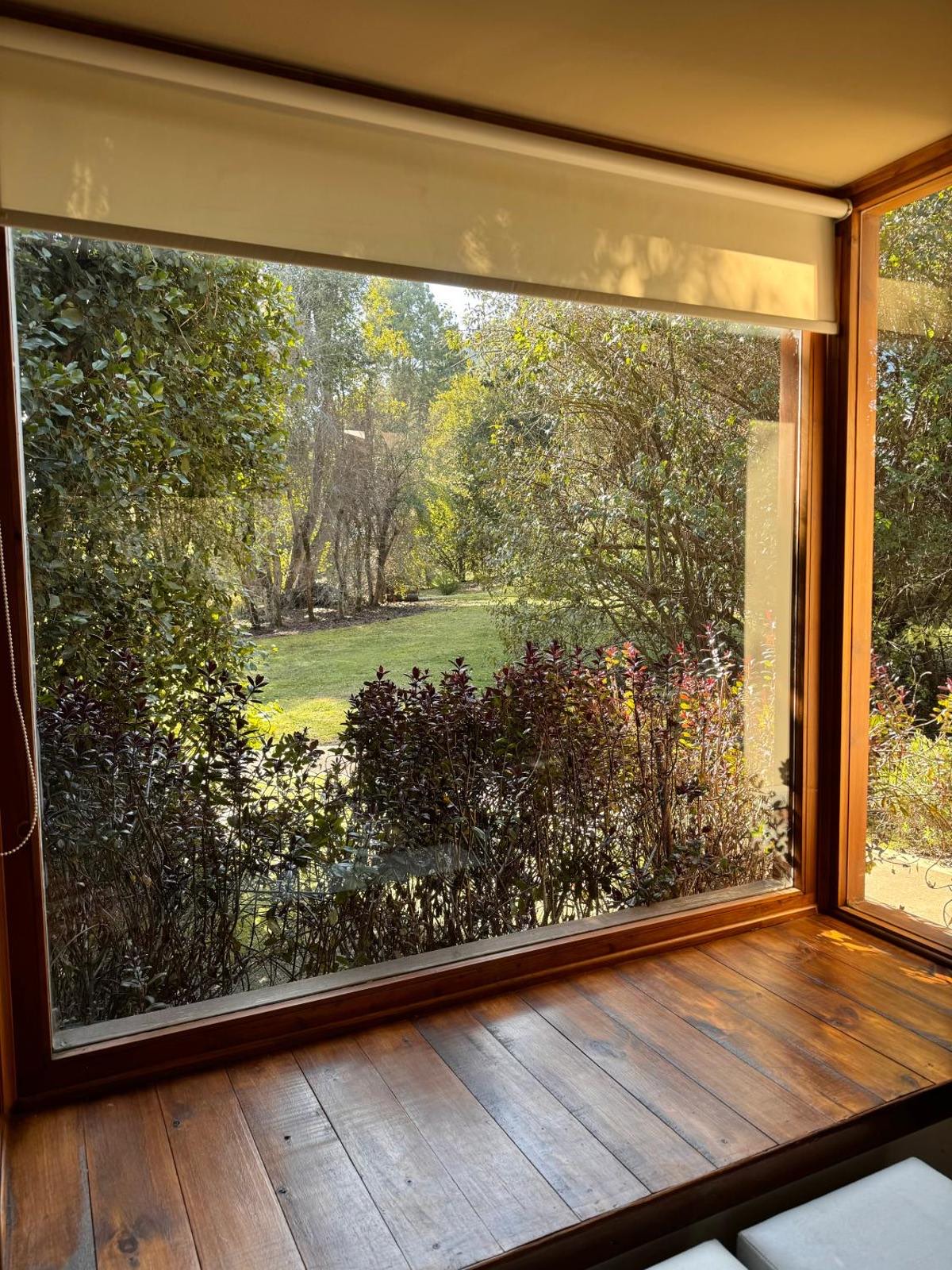 El bosque visto desde el ventanal de una cabaña
