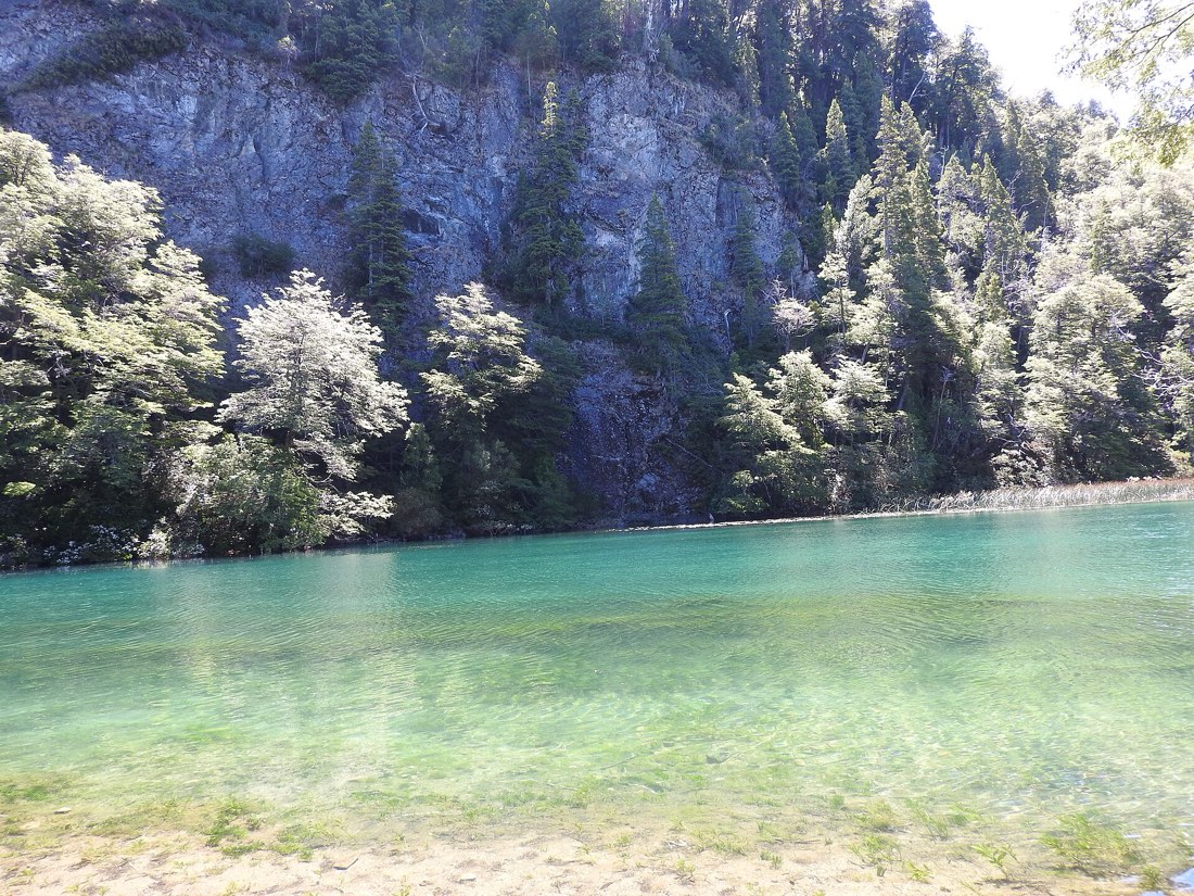 El bosque nevado sobre el agua turquesa del Lago Rivadavia